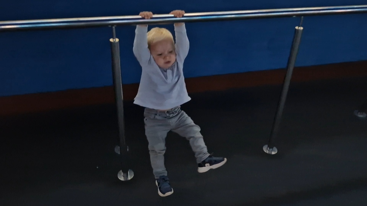 Гришка развлекается в барселонском аквариуме в год и 4 месяца: рыбы его интересовали меньше перекладины