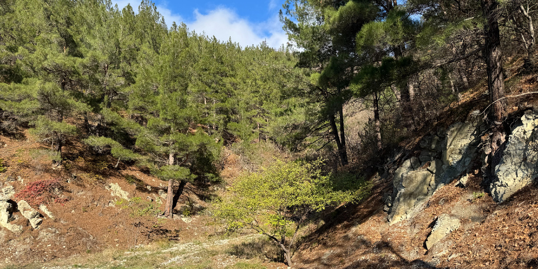 Терренкур или чем еще заняться зимой в Геленджике