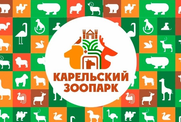 В Карельском зоопарке зафиксировали вопиющее нарушение: посетители распивали алкоголь и кормили животных