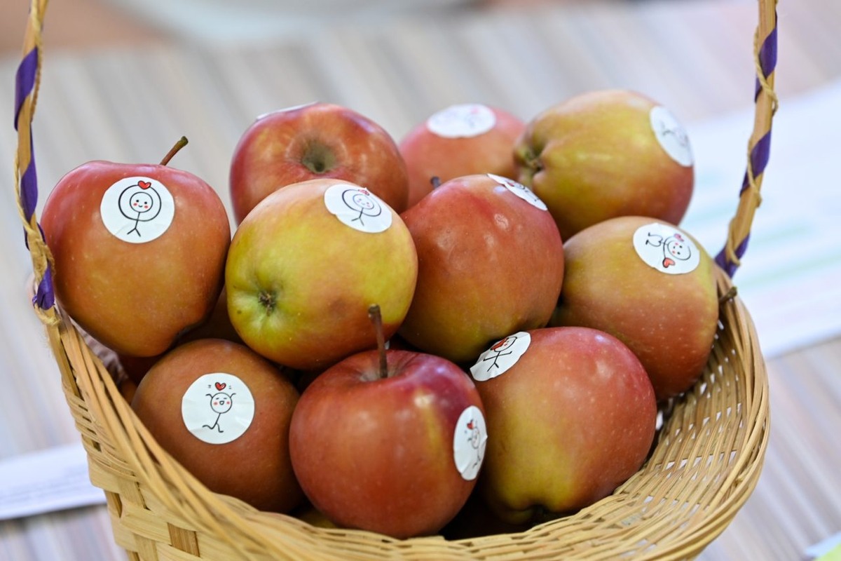    Фото: "Республика"/ Сергей Юдин