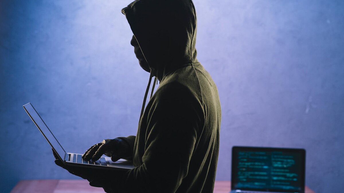    Фото: ru.freepik.com