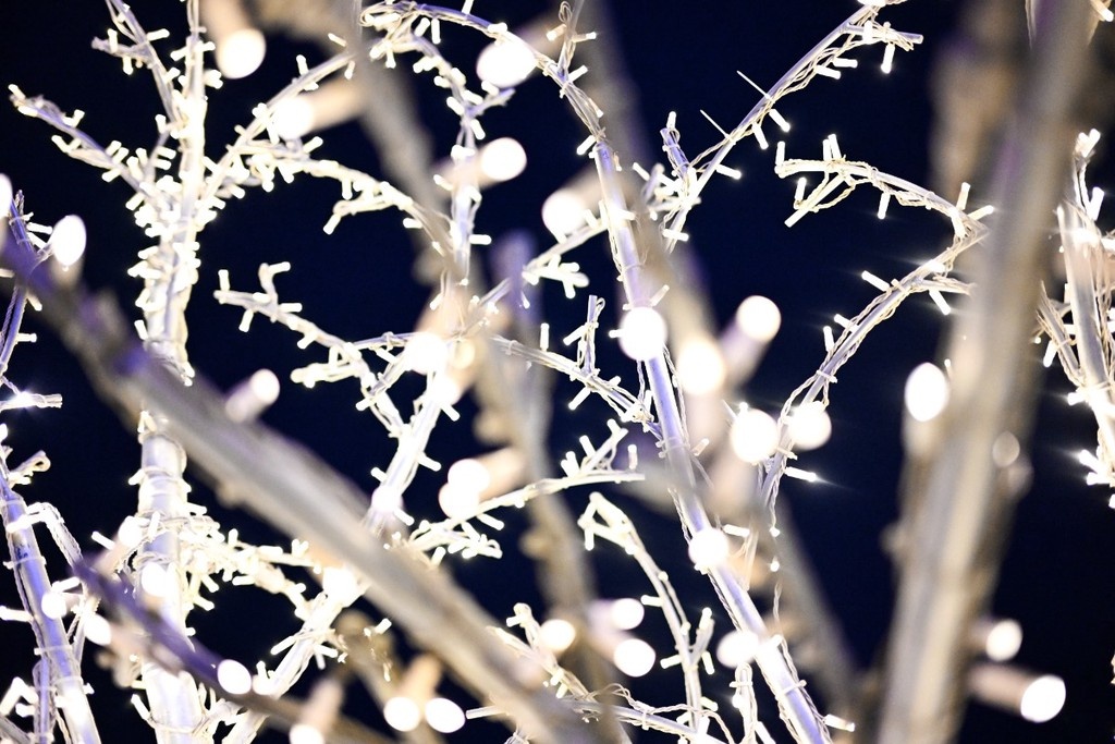    Фото © Николай Бурматов / ТАСС