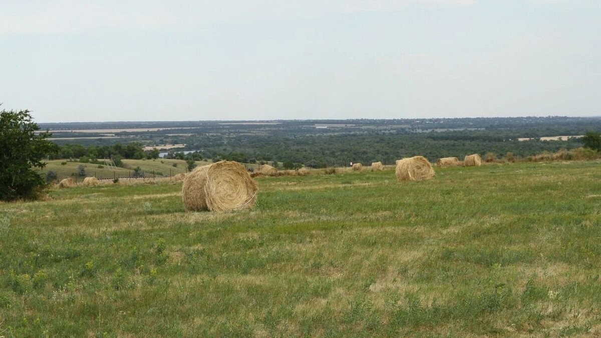     Источник: 1MI