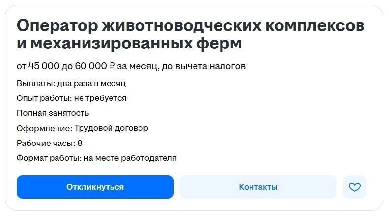     Источник: hh.ru