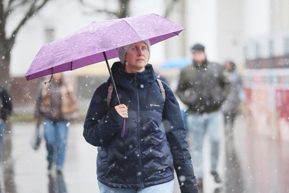    Алексей Белкин/NEWS.ru