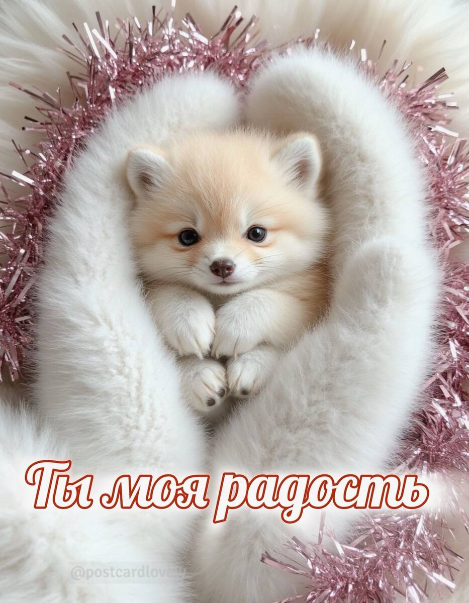 Открытки для неё: мгновенный заряд нежности и улыбки