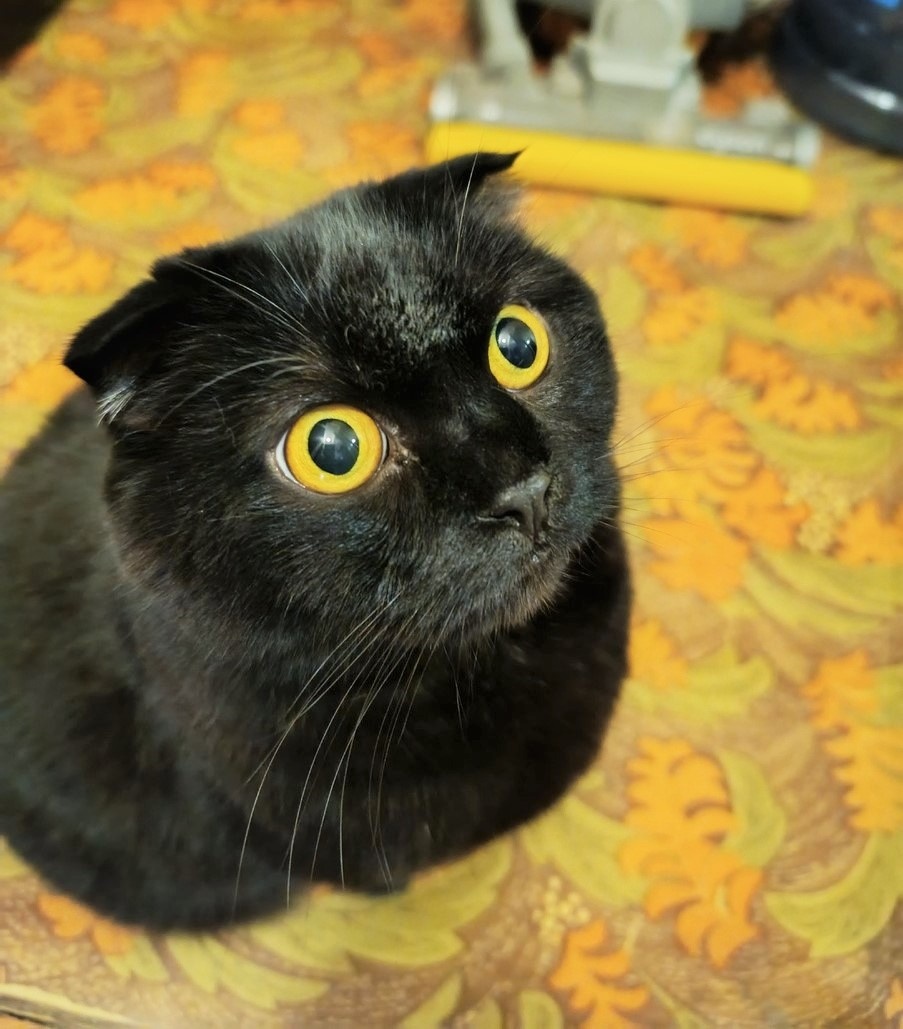 Благодарю за фото Марину АБРОЧНОВУ)