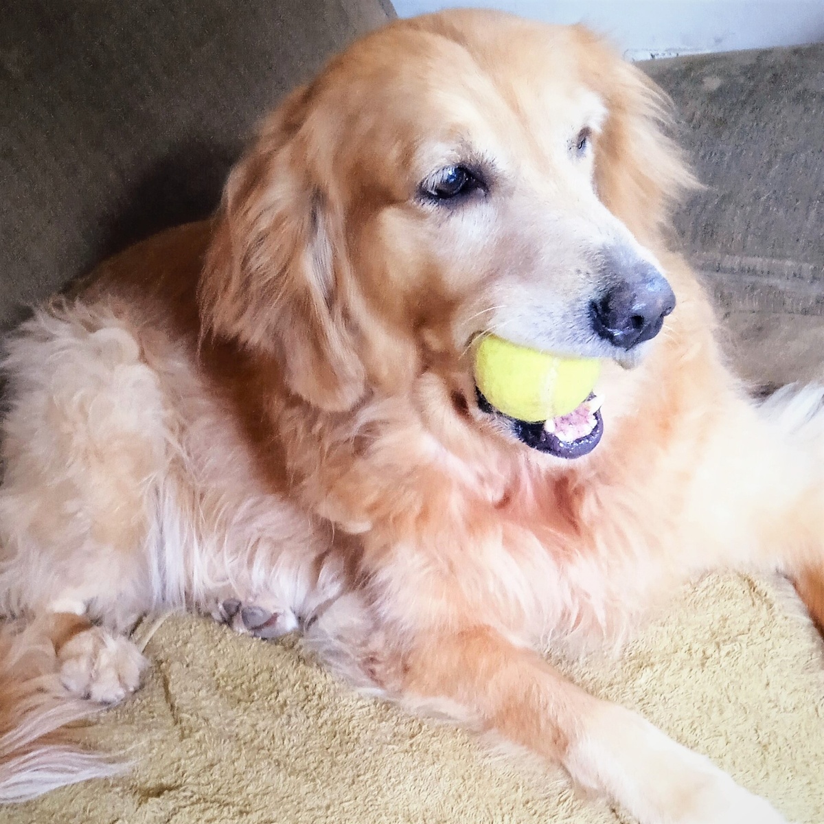 Благодарю за фото Любовь БОЙЦОВУ)