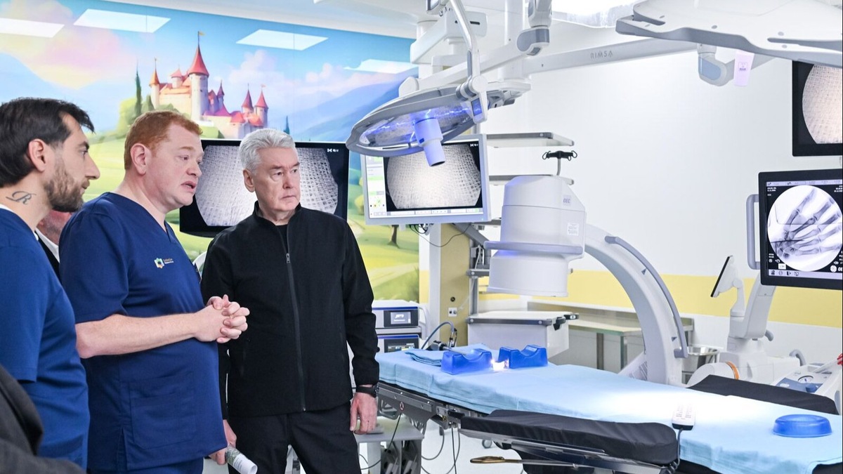    Источник: Максим Мишин. Пресс-служба Мэра и Правительства Москвы