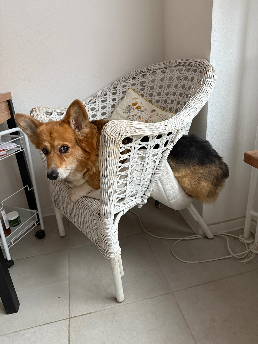 Когда ты немного длинный😂😂😂