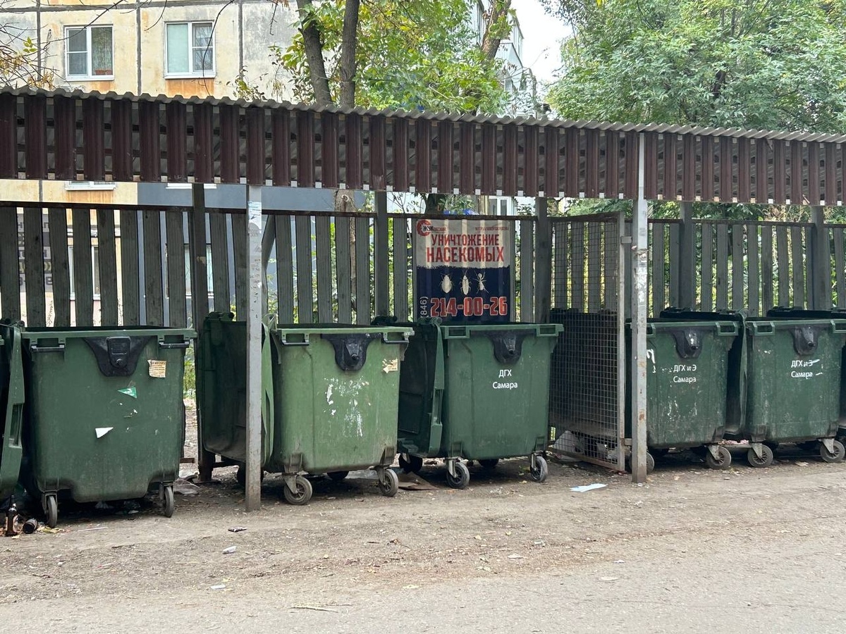    Фото: Анастасия Максименко