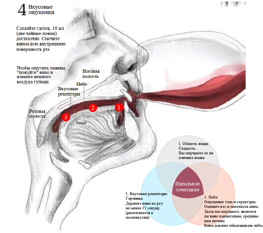 Картинка из открытого доступа подрезана на забугорном информационном ресурсе и переведена мной на русский язык. Кому интересно могу направить ссылку на источник по личному запросу