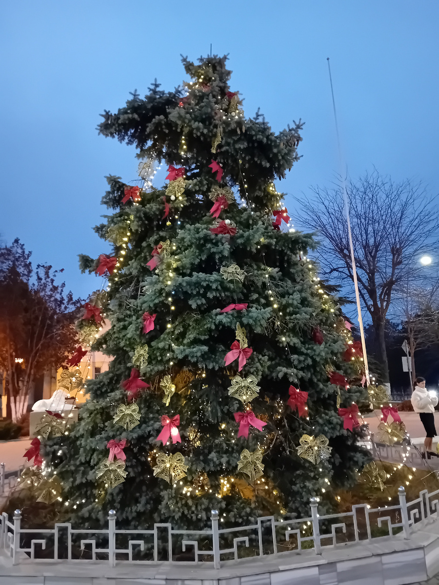  АВТОРСКОЕ  ФОТО,  Елка в Евпаториии в декабре 2025 года.