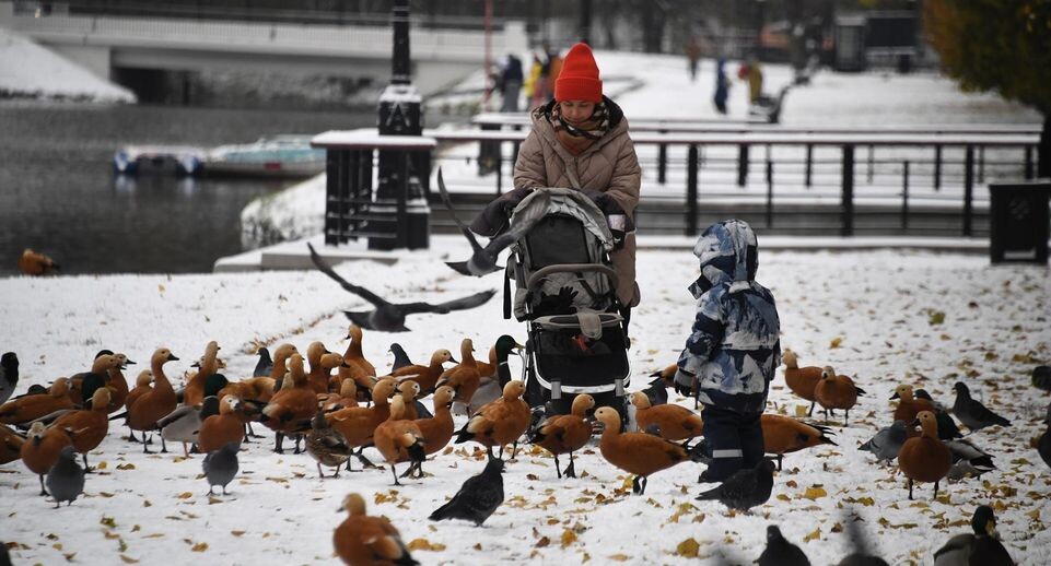 Материнский капитал в 2026 году: нововведения и перспективы до миллиона рублей