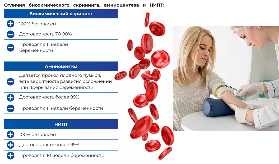 Отличия НИПТ от обычного скрининга и прокола живота