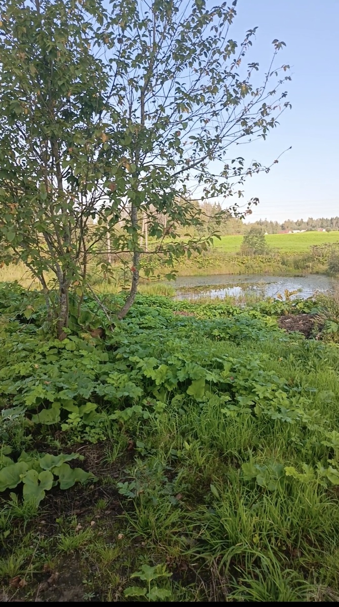 Именно здесь мы почувствовали себя как дома.