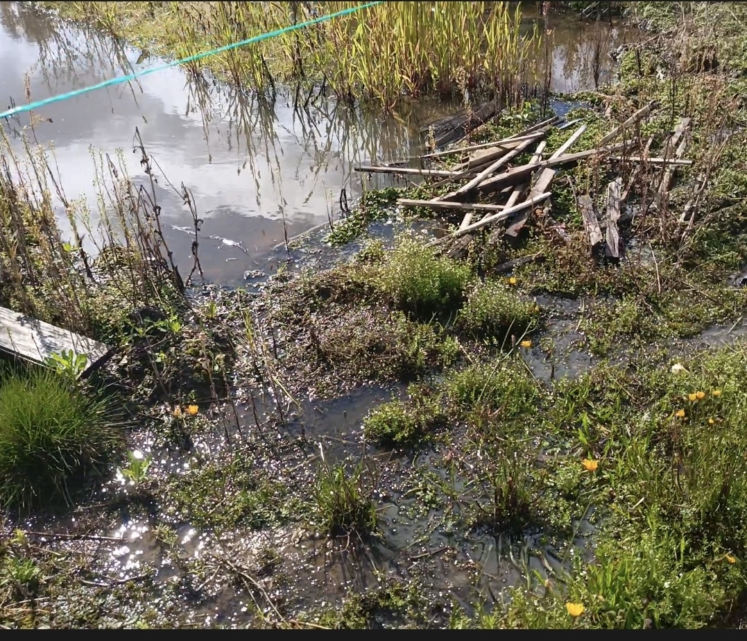 Соседский ручеек. Бесплатный бонус к участку.