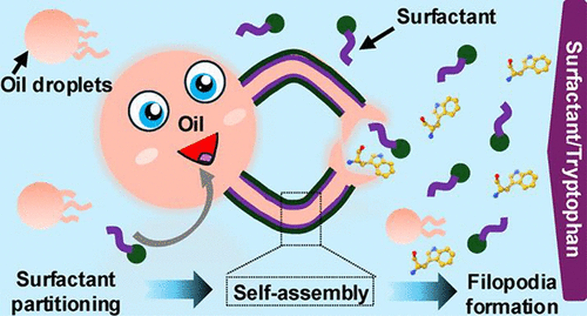    Эта забавная иллюстрация в следующем месяце украсит обложку журнала Американского химического общества. Автор — Санджана Кристина Мани