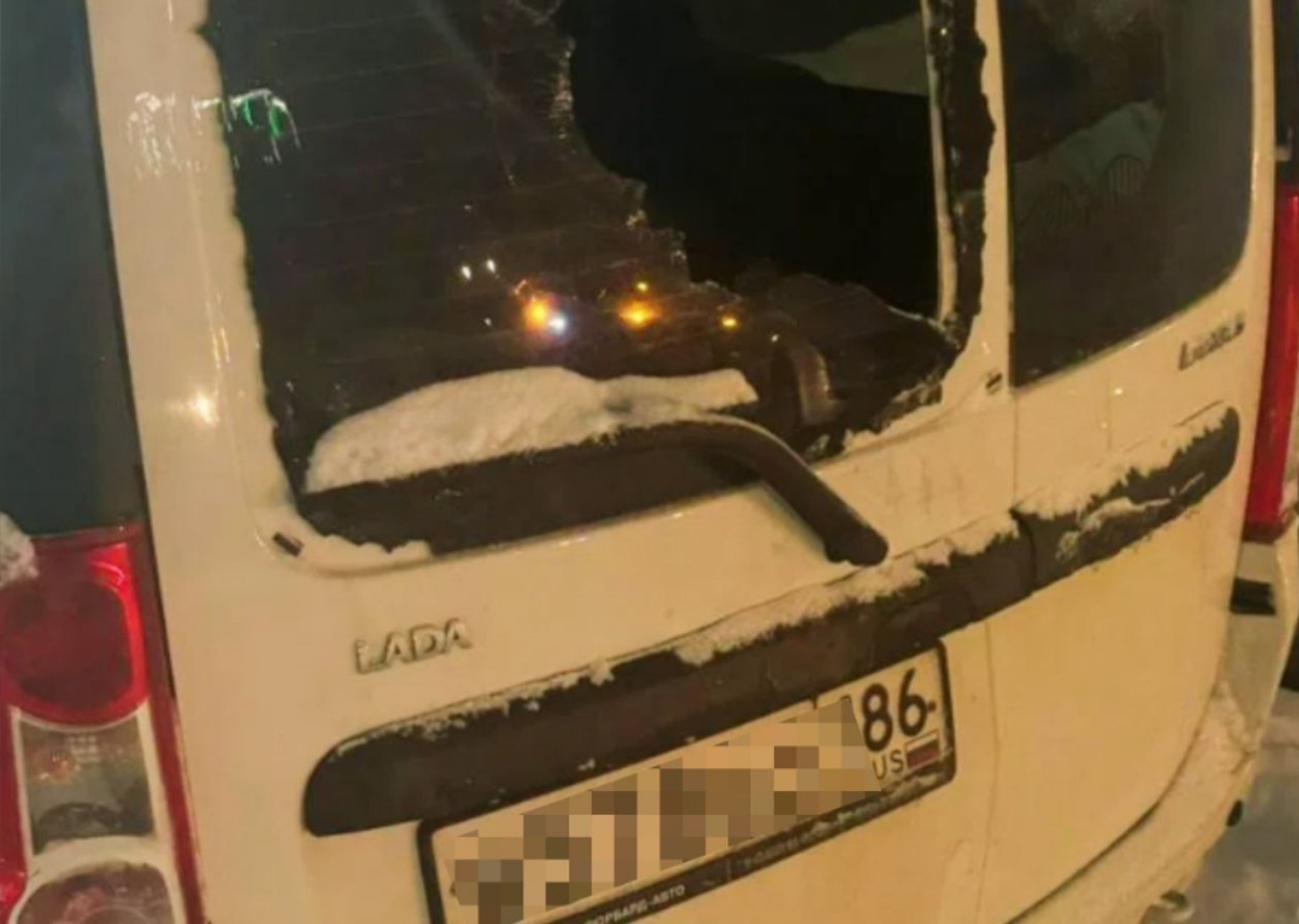    Югорчанин, разбивший детскими санками четыре автомобиля, пройдет принудительное лечение