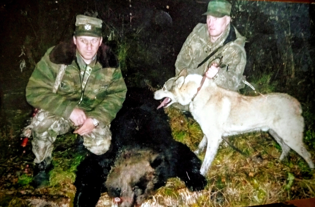 Фото из архива результативная охота.