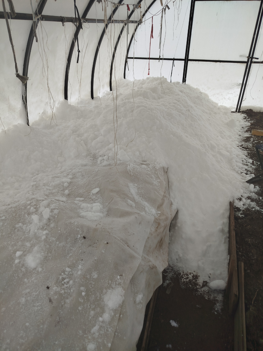 Процесс пошёл.