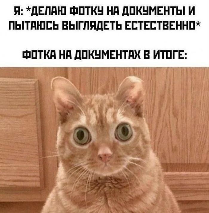 Из интернета