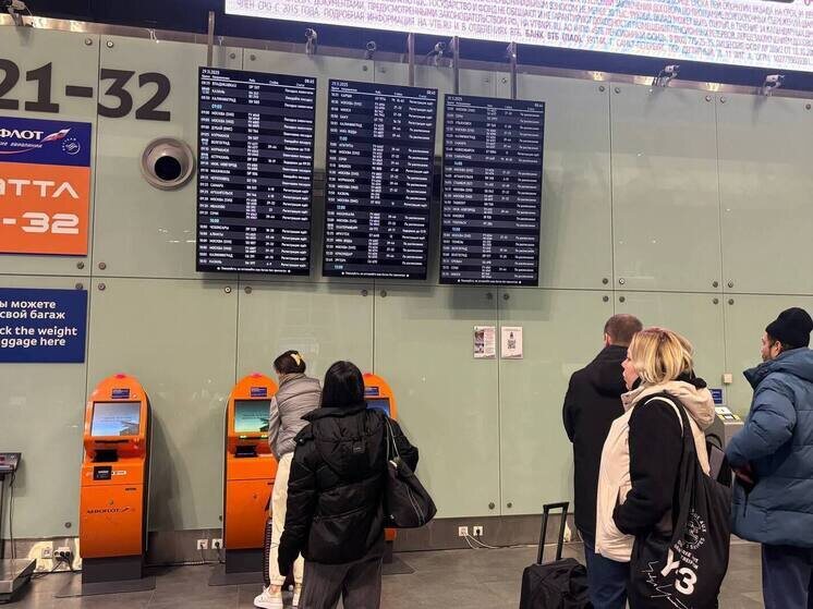     Доля перелетов в Китай и Таиланд составила 50%. Фото: архив МК в Питере