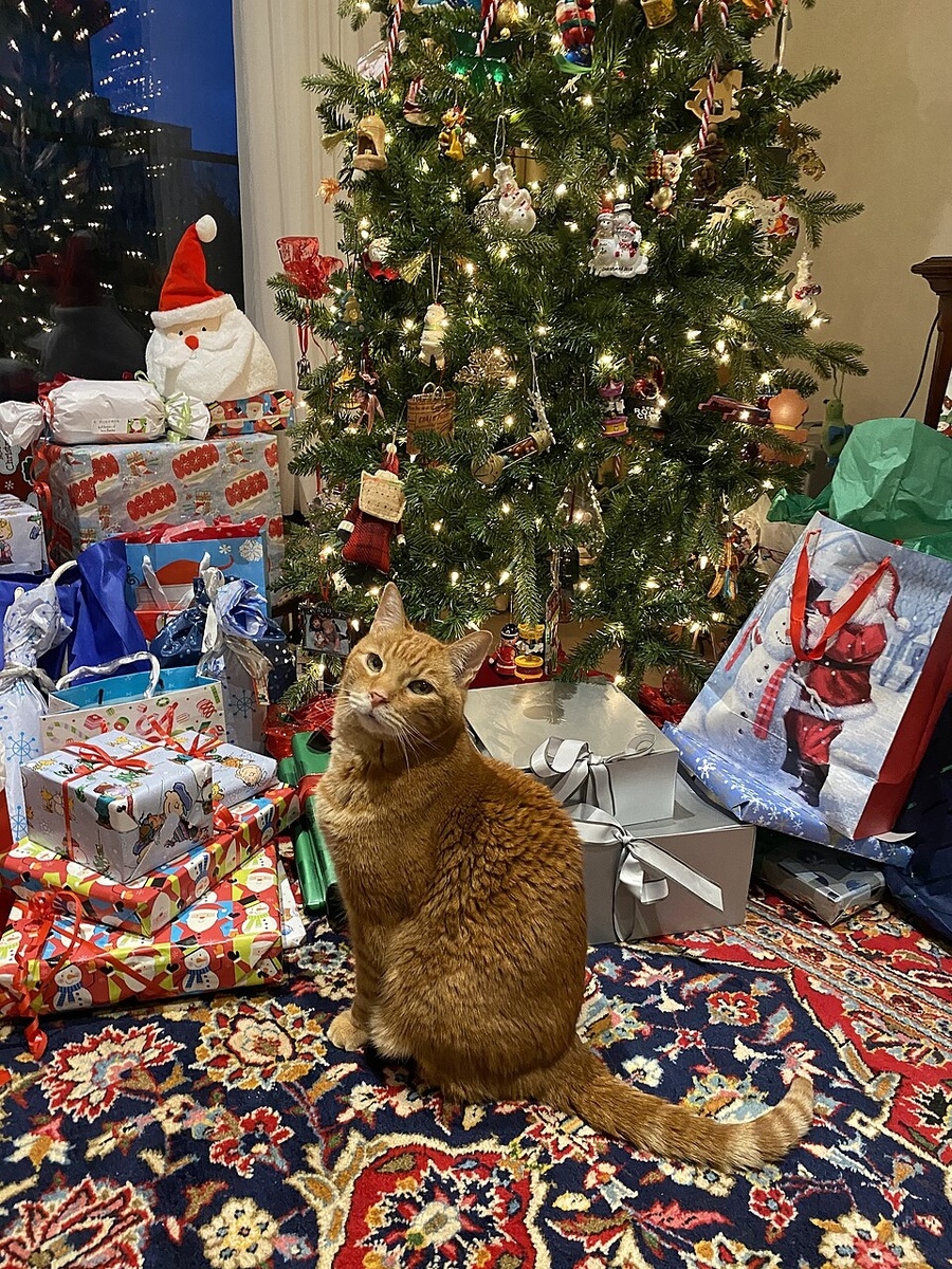    Moose51482 - Wikipedia