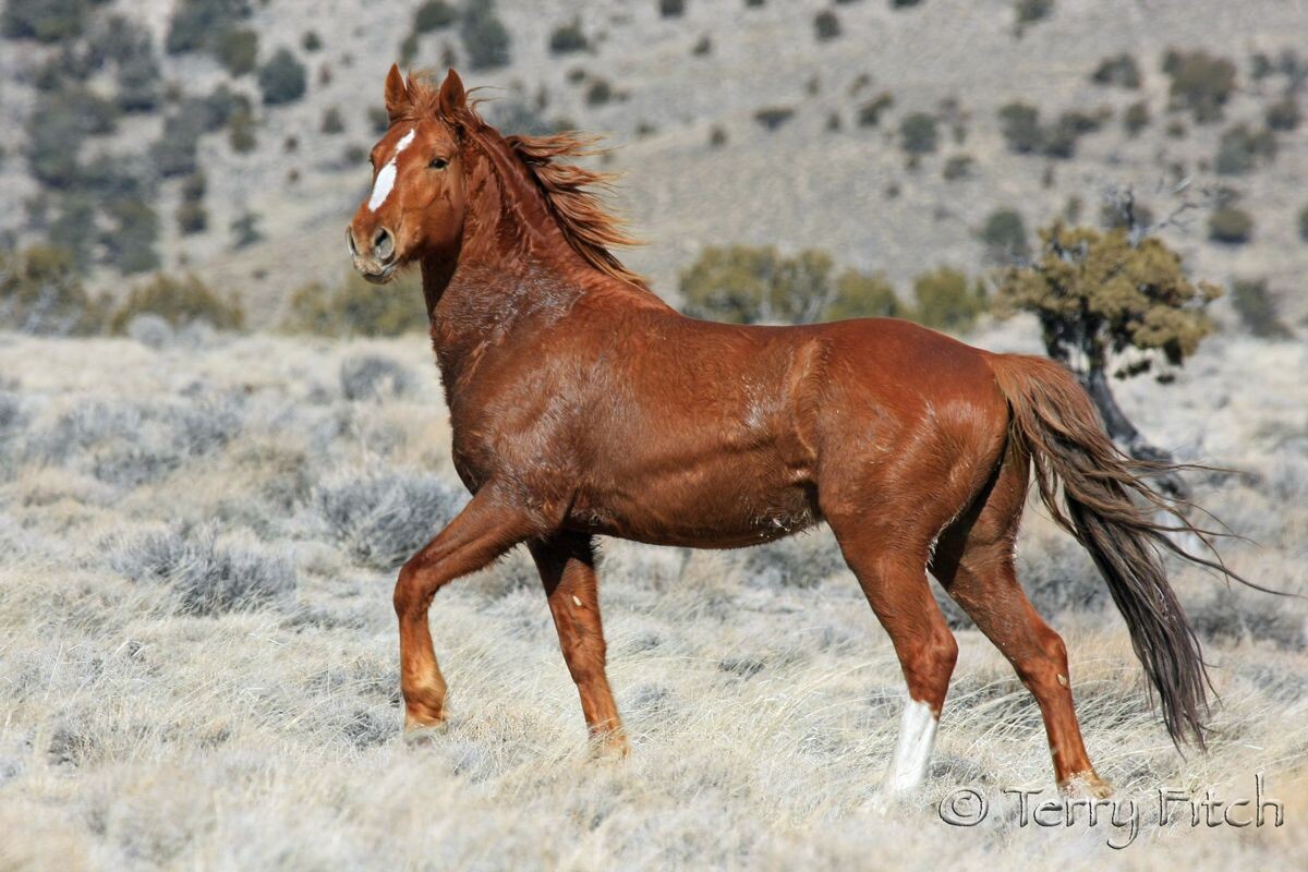 Фото с сайта: https://br.pinterest.com/pin/317292736228914188/