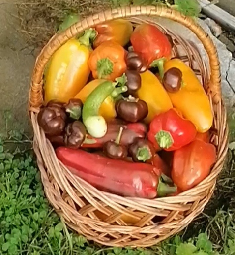 Вкусная корзинка