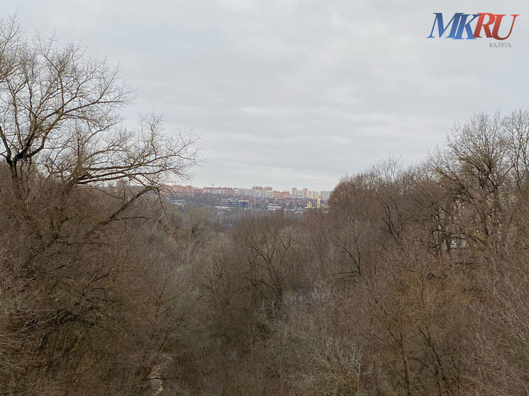     Фото: "МК в Калуге"