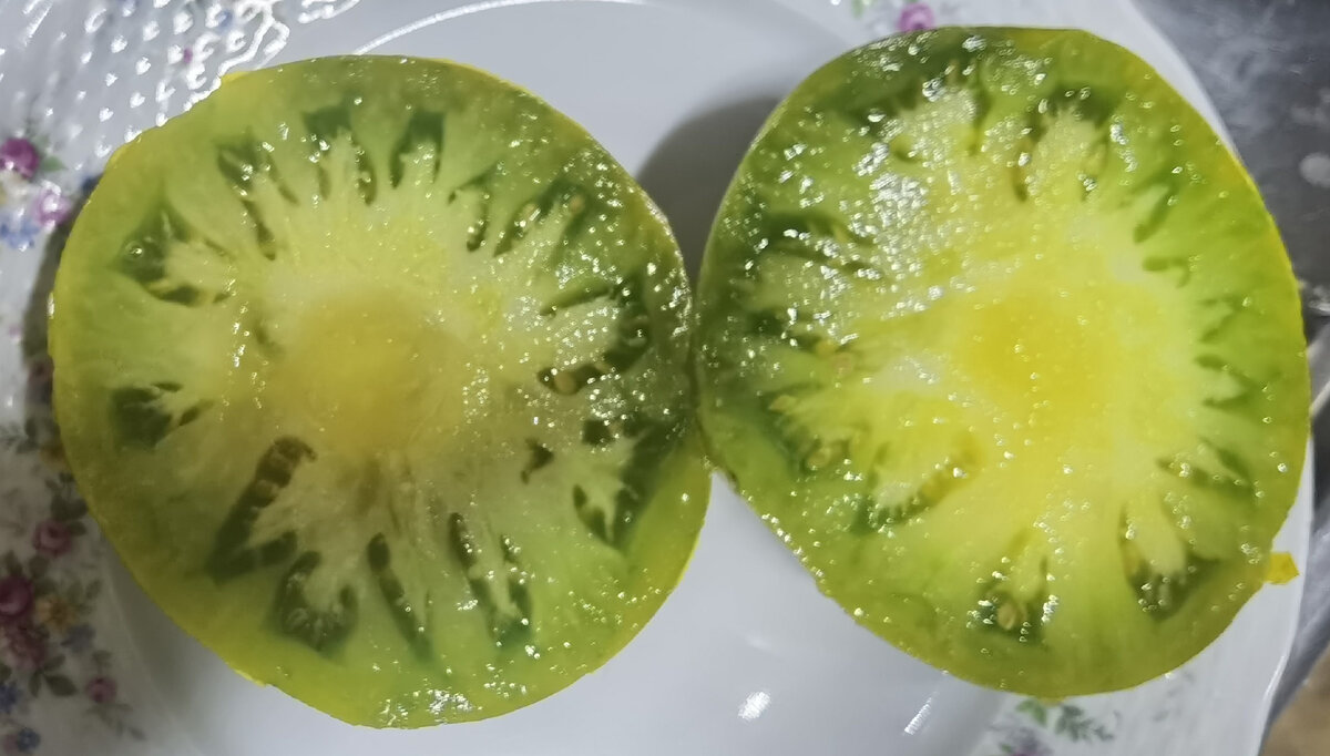 томат Малахитовая Шкатулка