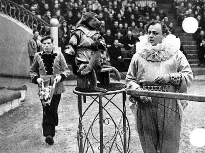 Дрессировщик Юрий Дуров