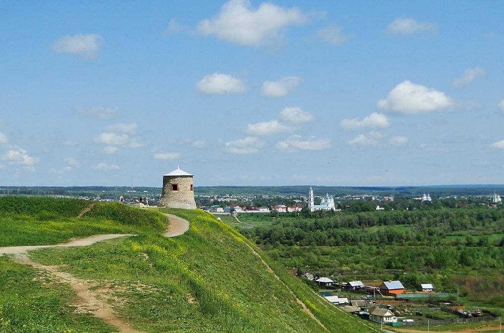    сайт «Ревизор.ру»