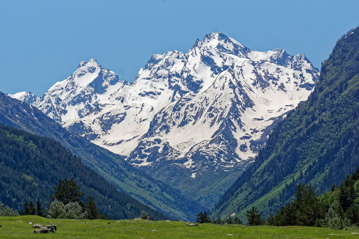 Фото Y H на Unsplash
      