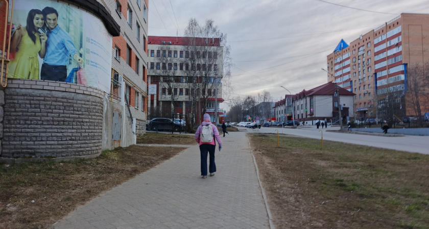    фото bryansk.news