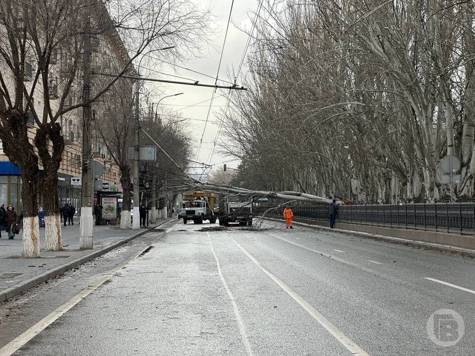    Фото: Данил Савченко/"Городские вести"