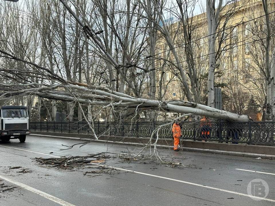    Фото: Данил Савченко/"Городские вести"