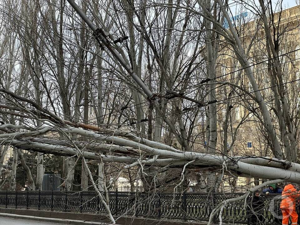    Фото: Данил Савченко/"Городские вести"