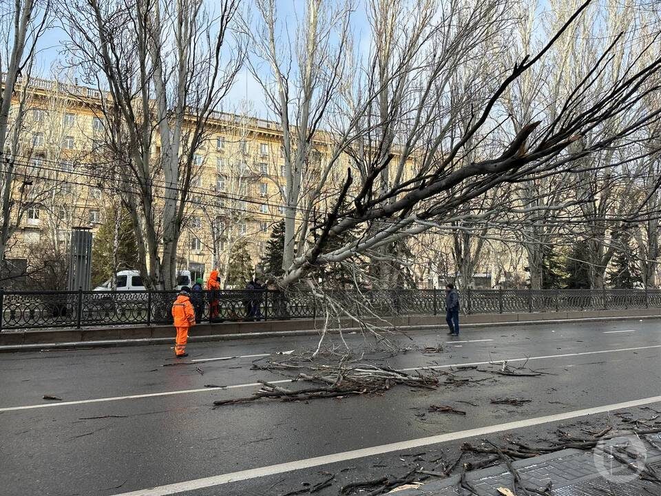    Фото: Данил Савченко/"Городские вести"