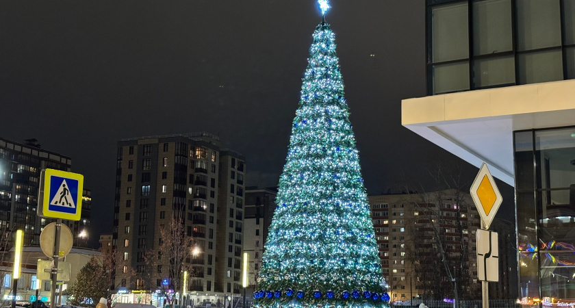    Фото редакции