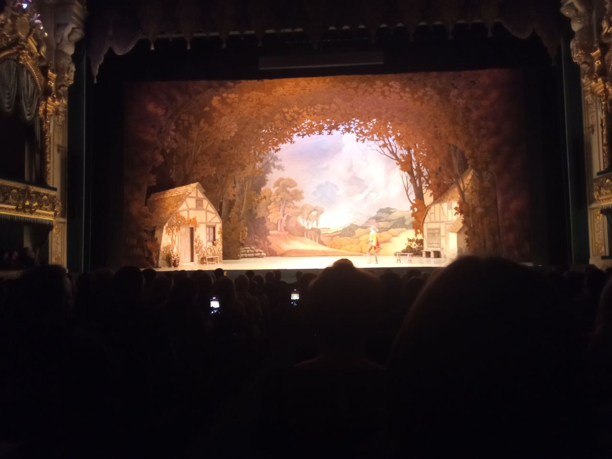 Интересные декорации к "Жизели" в Мариинском театре, фото автора.