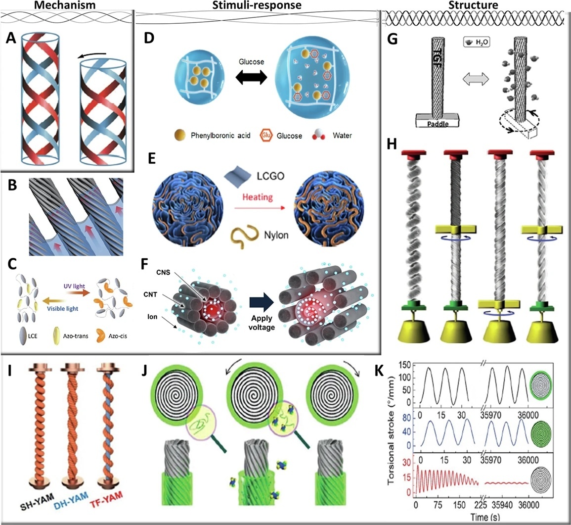    Механизм приведения в действие искусственной мышцы волоконного типа и характеристики скручивающего привода.https://www.nature.com/articles/s44182-025-00059-8