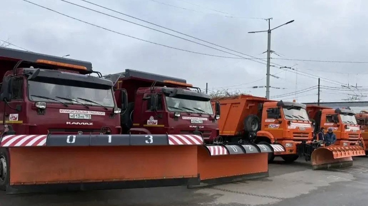     Фото: Пресс-служба администрации Краснодара