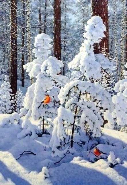   : my.mail.ru  vk.com