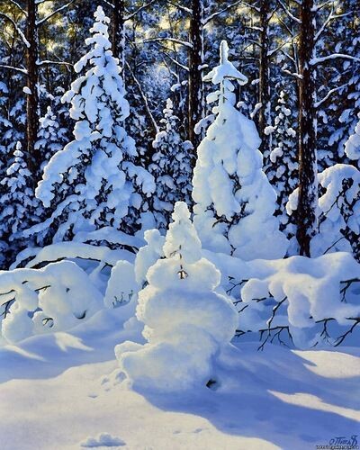   : my.mail.ru  vk.com