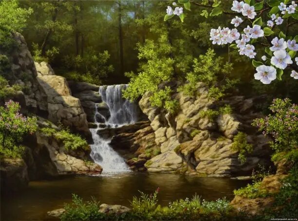 �������� ����������� : my.mail.ru� � vk.com