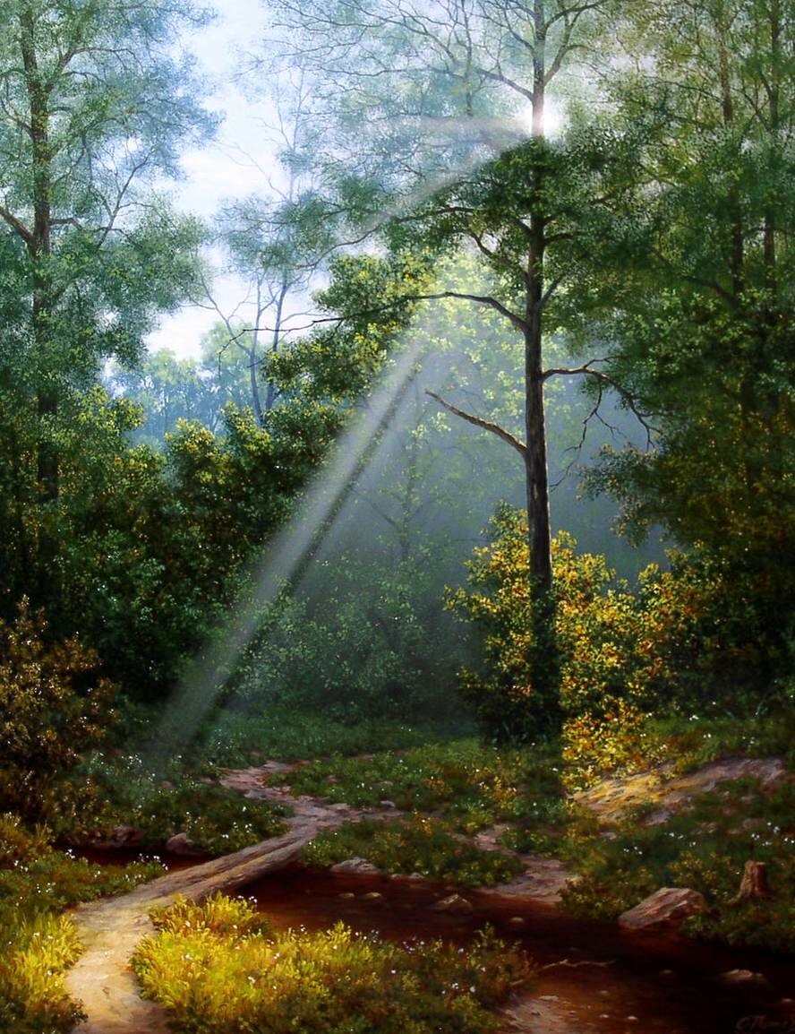 �������� ����������� : my.mail.ru� � vk.com