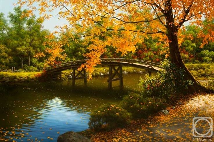 �������� ����������� : my.mail.ru� � vk.com