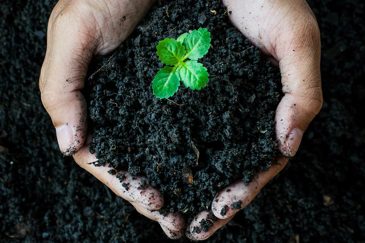 Плодородный слой почвы, как и практически всё на нашей планете - явление неоднородное.